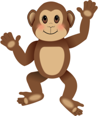 Cute Monkey